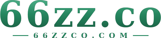 66zz.co logo